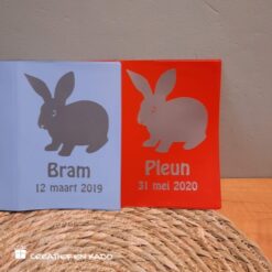 dierenpaspoort hoesje met naam en afbeelding konijn