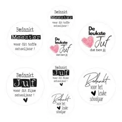 sluitsticker juf meester bedankt assorti