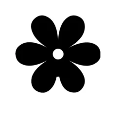 bloem afbeelding