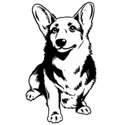 Hondenras: Corgi
