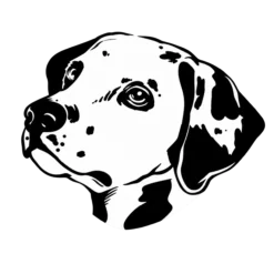 Hondenras: Dalmatiër