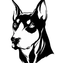 Hondenras: Dobermann