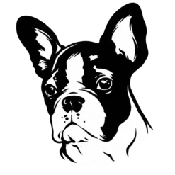 Hondenras: Franse buldog